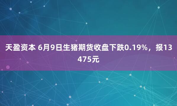 天盈资本 6月9日生猪期货收盘下跌0.19%，报13475元